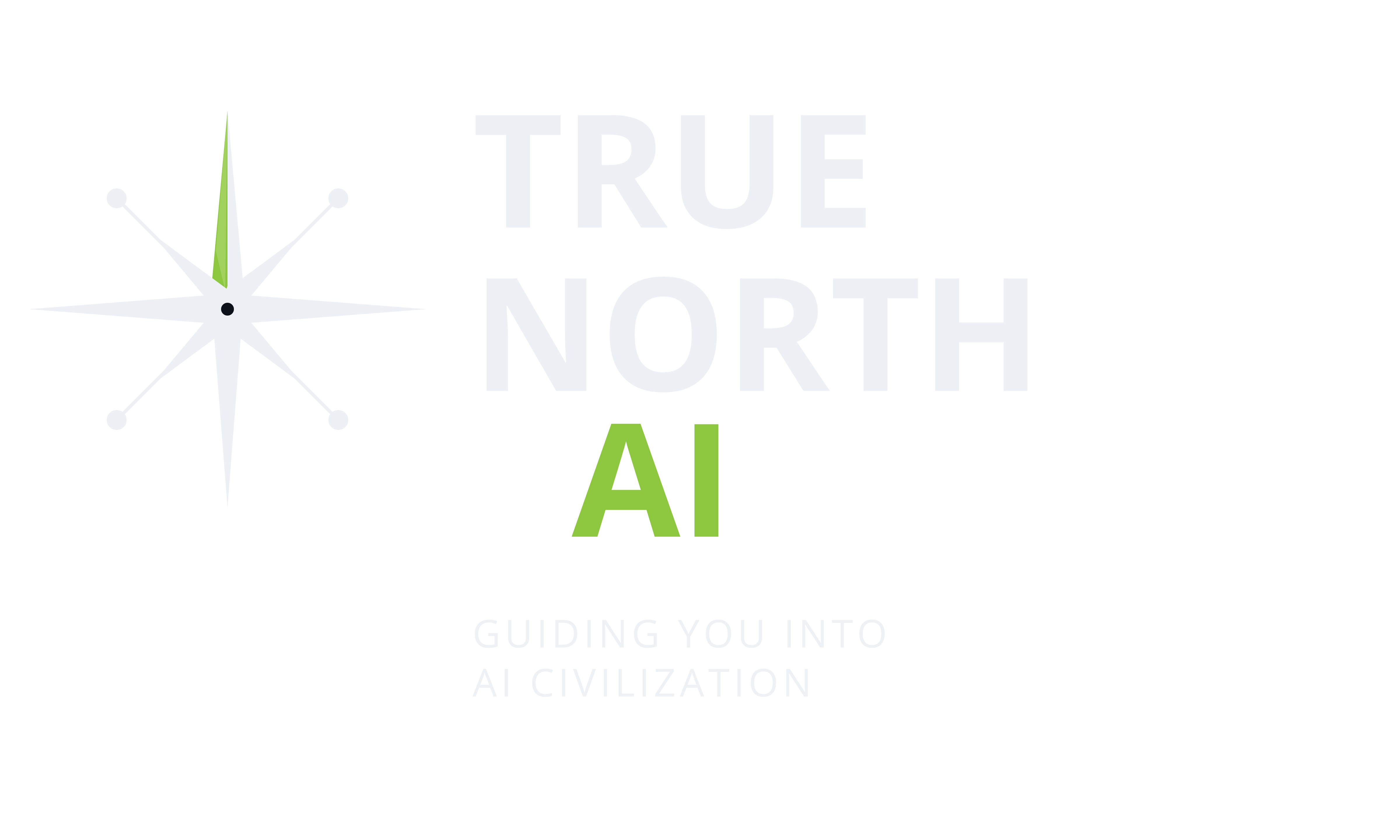 True North AI